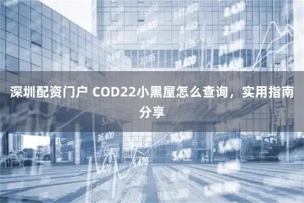 深圳配资门户 COD22小黑屋怎么查询，实用指南分享