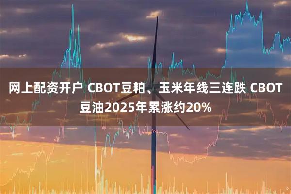 网上配资开户 CBOT豆粕、玉米年线三连跌 CBOT豆油2025年累涨约20%