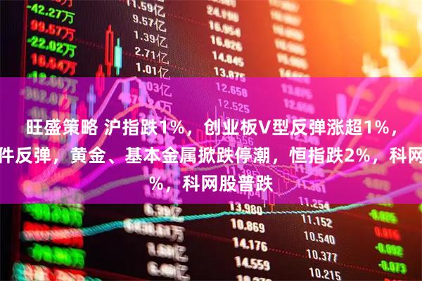旺盛策略 沪指跌1%，创业板V型反弹涨超1%，算力硬件反弹，黄金、基本金属掀跌停潮，恒指跌2%，科网股普跌